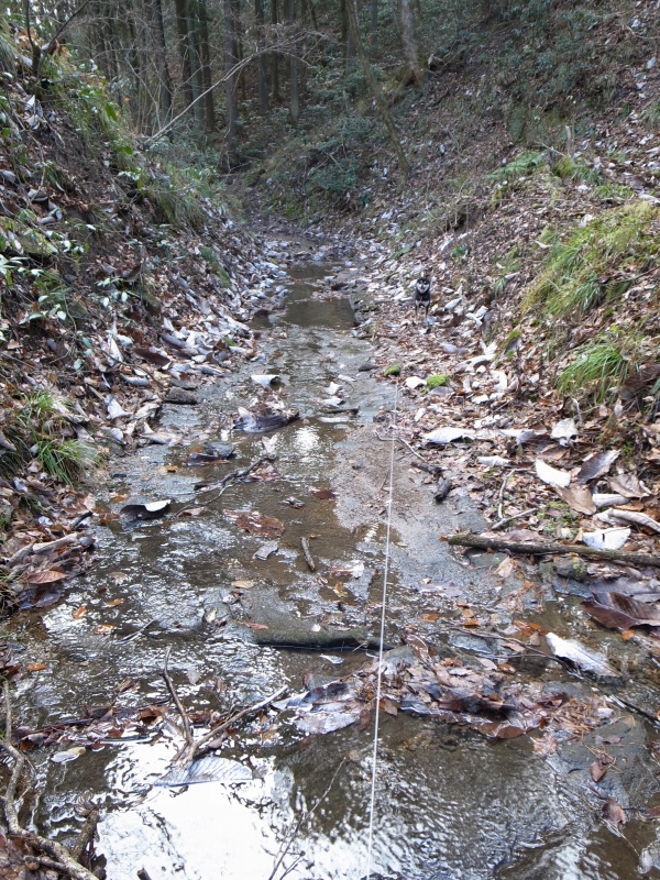 b0050305_20253321.jpg