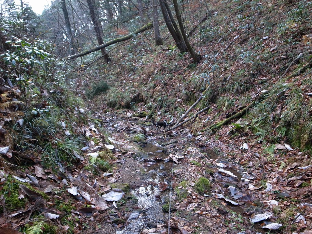 b0050305_20321388.jpg