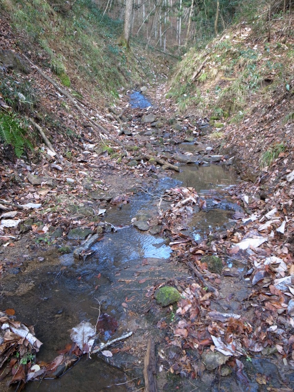 b0050305_20322932.jpg