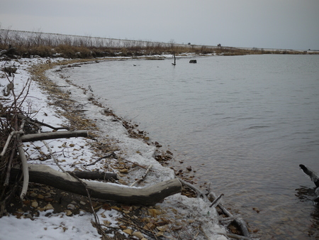 b0110205_11513240.jpg