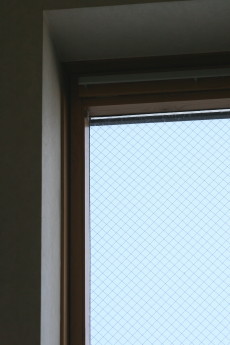 f0041606_20171656.jpg