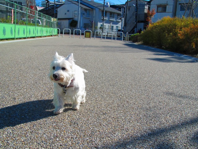 f0039907_22143728.jpg
