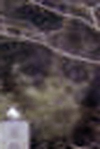 e0103408_055888.gif