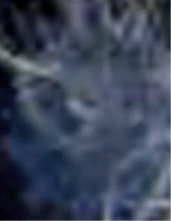 e0103408_163351.gif