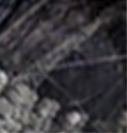 e0103408_165047.gif