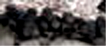 e0103408_171970.gif