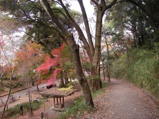 b0183911_12145734.jpg