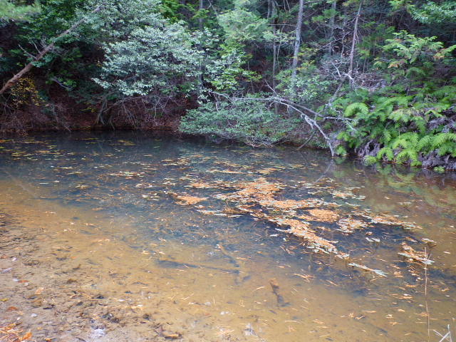 d0170615_20534325.jpg
