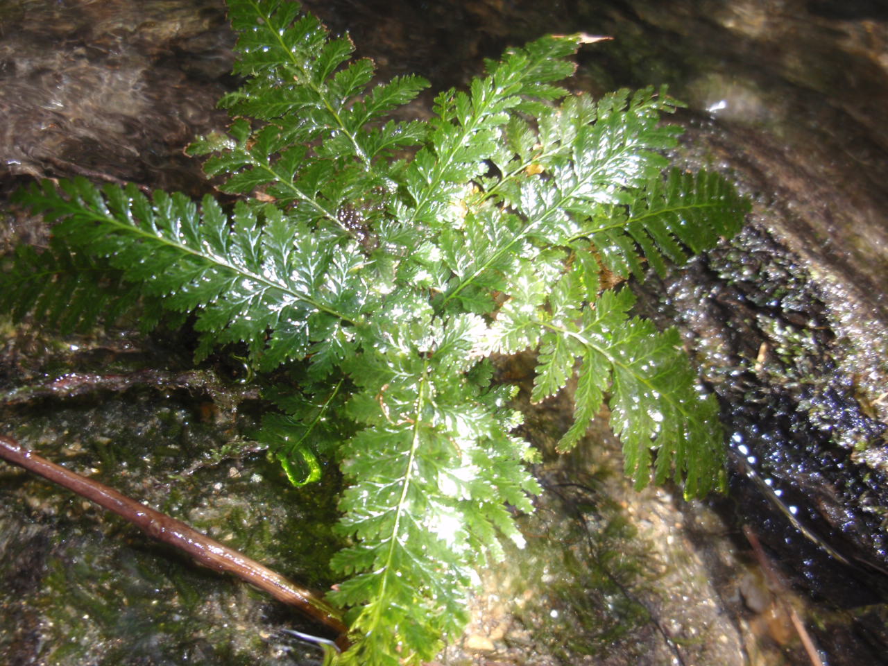 d0187020_21574061.jpg