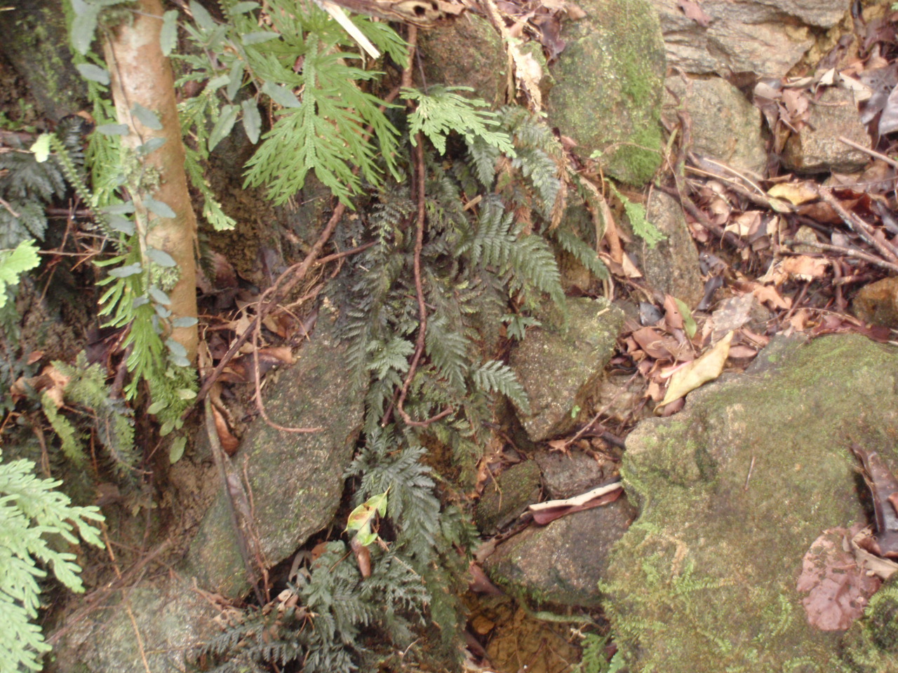 d0187020_2214511.jpg