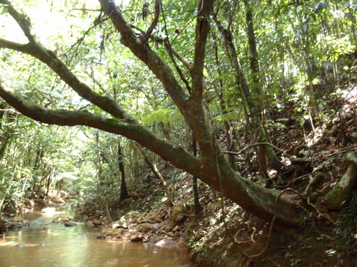 d0187020_223575.jpg