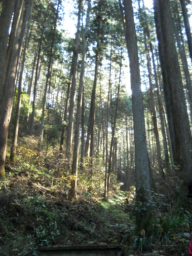 e0156222_2292390.jpg