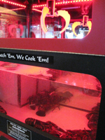 c0148627_7153379.jpg