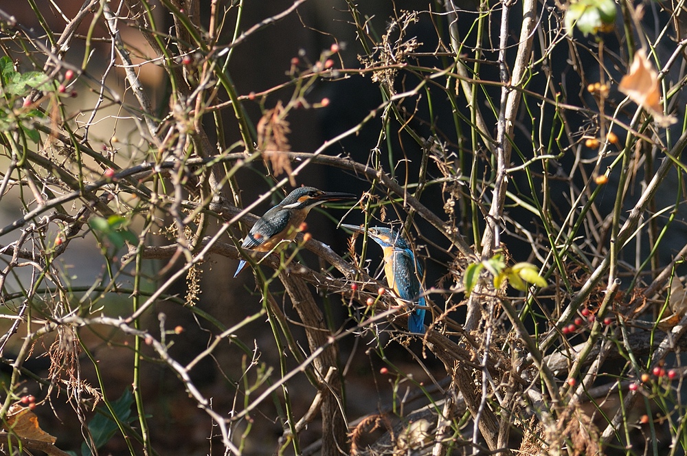 c0221838_2359157.jpg