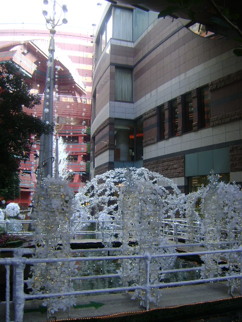 d0118438_20441352.jpg