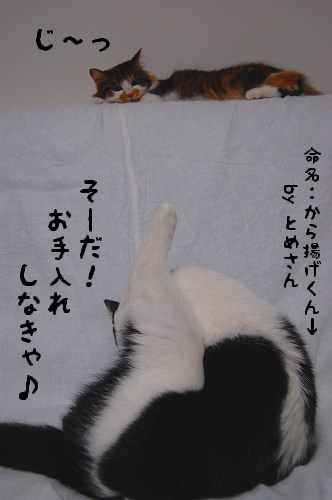 c0181639_0252619.jpg