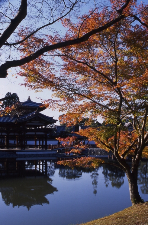 b0210250_00519.jpg