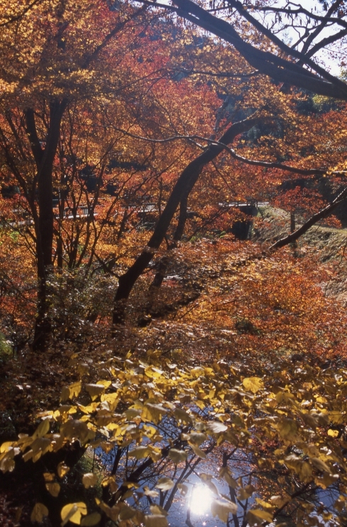 b0210250_23402844.jpg