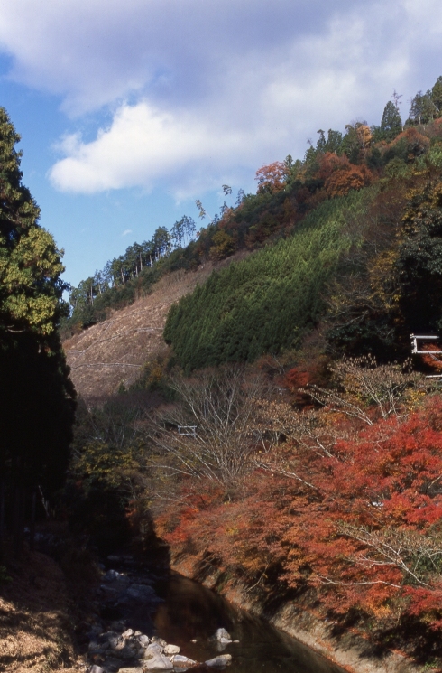 b0210250_23412074.jpg