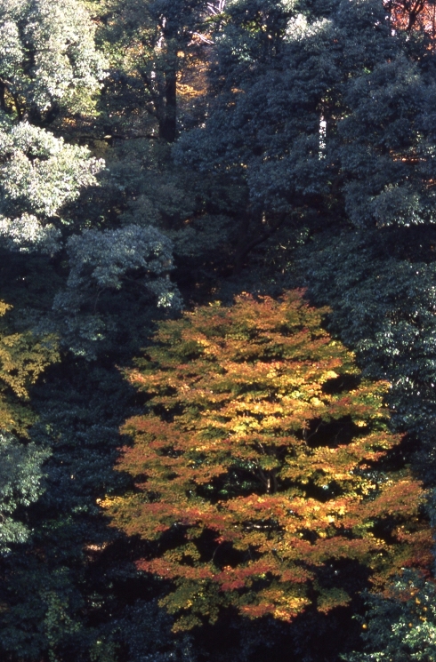 b0210250_23473467.jpg