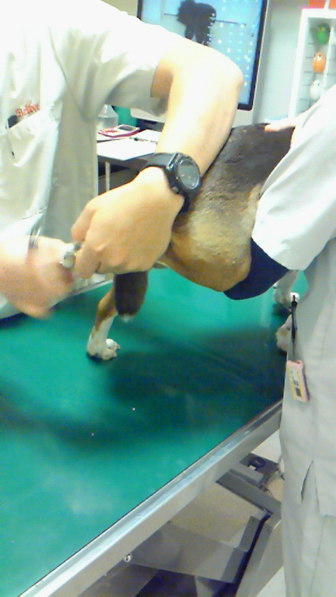 f0046250_12444658.jpg