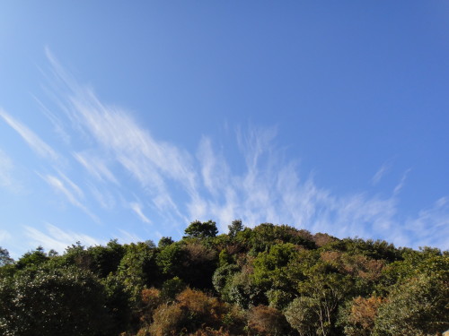 c0179351_21503956.jpg
