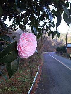 a0157160_211243.jpg