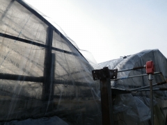 f0055264_2051067.jpg