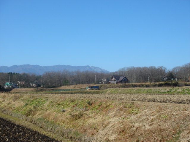 e0151566_1720446.jpg