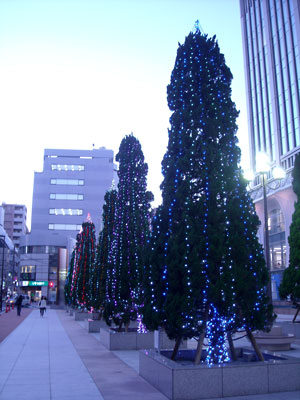 e0097770_17101530.jpg