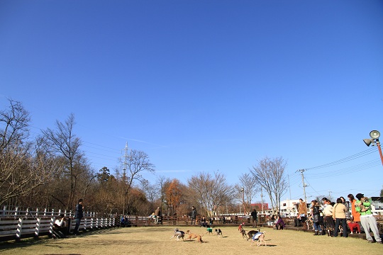 e0062371_2137325.jpg