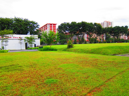 a0002177_1652239.jpg