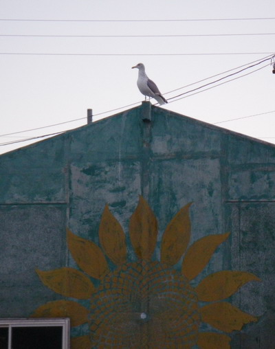 c0197578_23171234.jpg