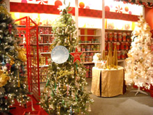 c0063182_1528364.jpg