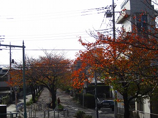 e0121589_18322589.jpg