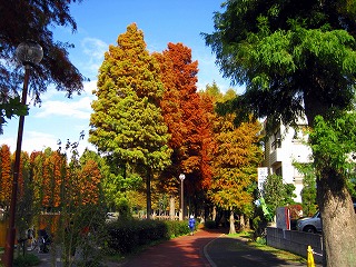 e0121589_1840919.jpg