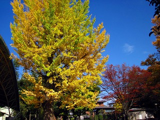 e0121589_18452673.jpg