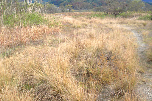 e0083097_2234739.jpg