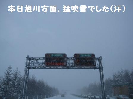 f0212597_21105511.jpg