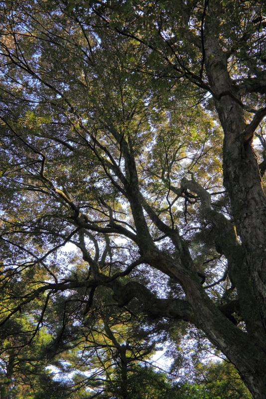 b0138101_211903.jpg