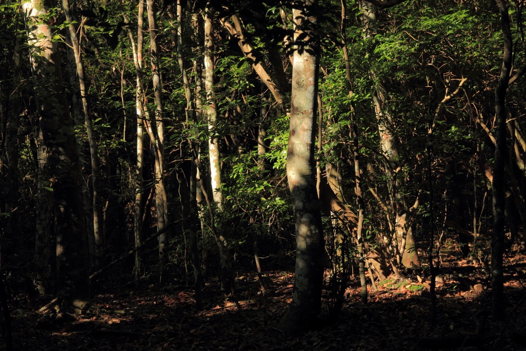 b0138101_2134945.jpg