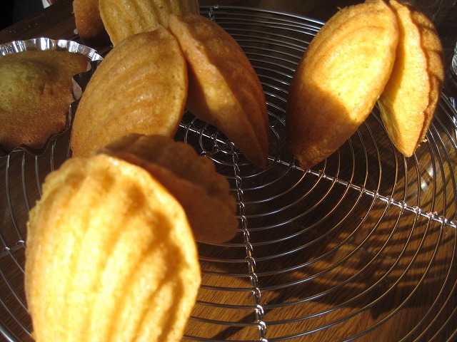 f0202703_2355398.jpg