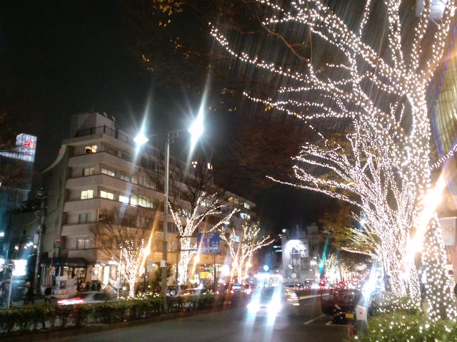 a0088007_044589.jpg