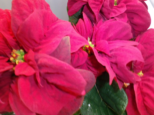 a0088007_23295062.jpg