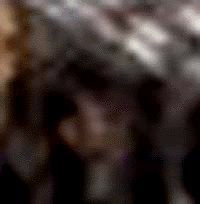 e0103408_15215324.gif