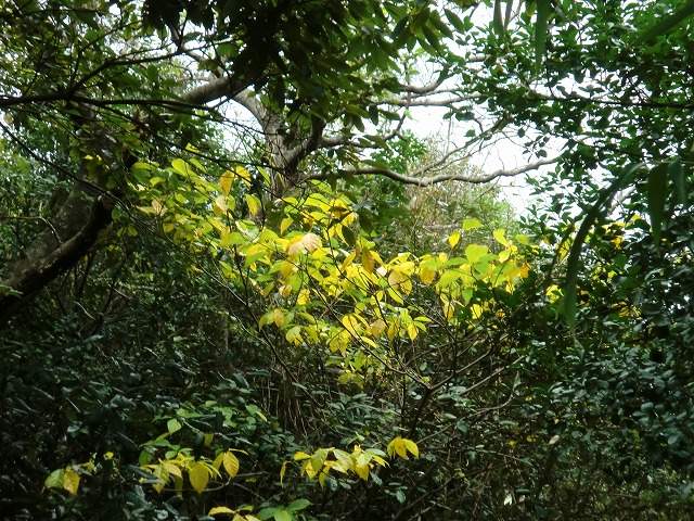 d0037110_22152331.jpg