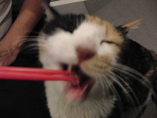 c0201113_22264293.jpg