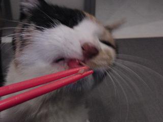 c0201113_22272159.jpg