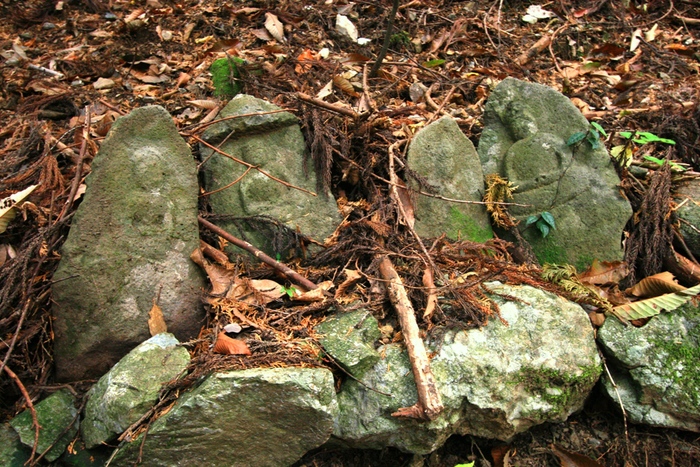 f0064415_23474636.jpg