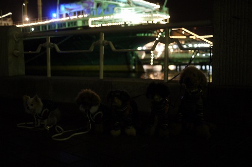 d0023323_0384987.jpg